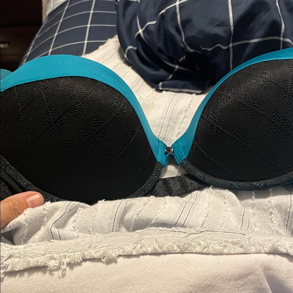 Cosabella Teal and Black Push-Up Bra